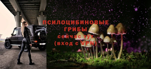 эйфоретик Верхний Тагил