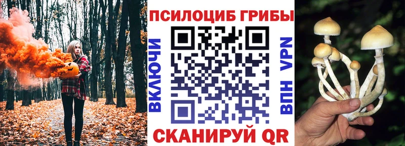 Купить где  Яхрома  Псилоцибиновые грибы ЛСД 